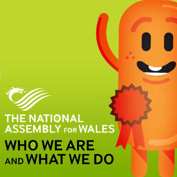 National Assembly for Wales | Cowbridge and Cardiff animation studios