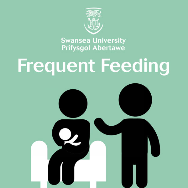 swansea university frequent feeding animation by cowbridge and cardiff animation studios