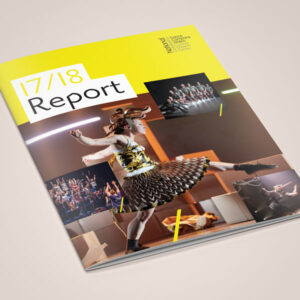 NDCW Annual Report Design