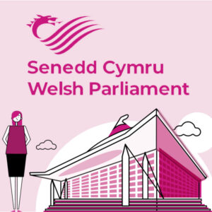 Senedd-cymru-animation